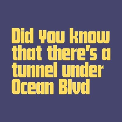 Did You Know That Theres A Tunnel Under Ocean Blvd Mug Official Lana Del Rey Shop